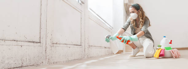 Best Mold Removal for HVAC Installations  in Lake Hamilton, FL